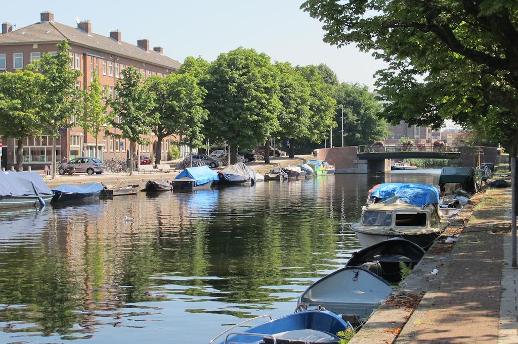 Wild Roses Bed & Breakfast Amsterdam Dış mekan fotoğraf